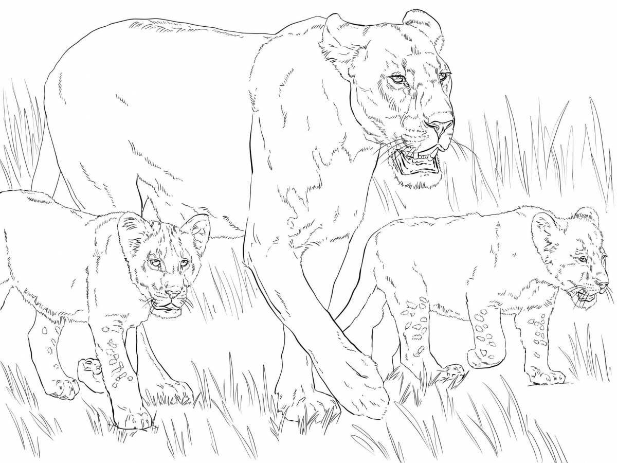 Раскраска благородный смотрящий лев
