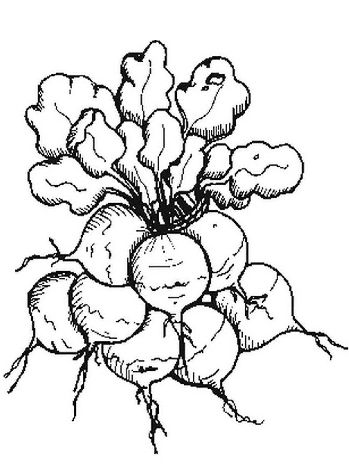 Radiant coloring page tops and roots