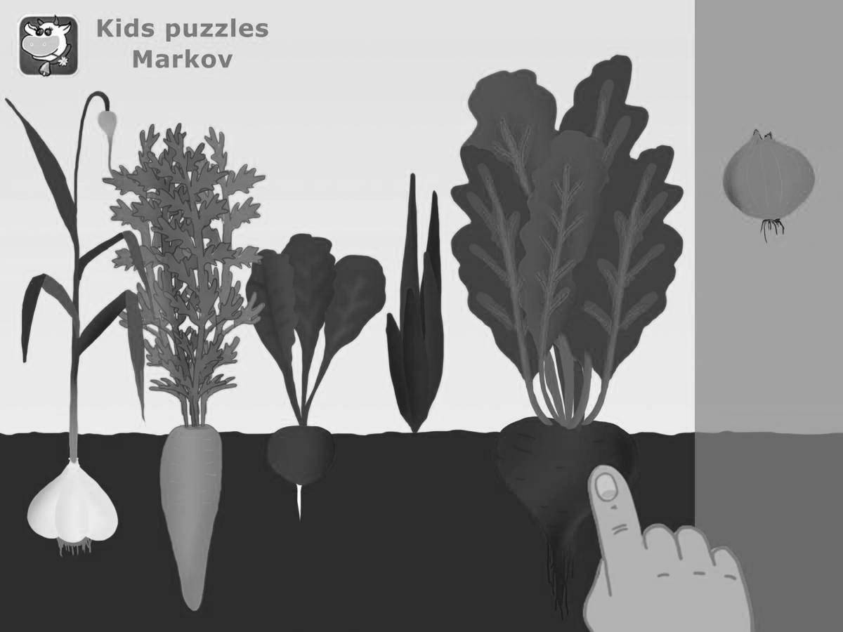 Mysterious coloring page tops and roots