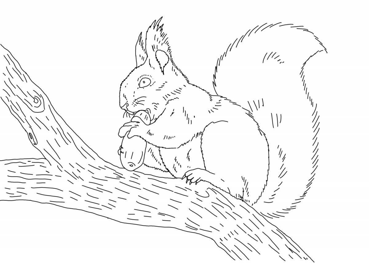 A brave squirrel in the forest