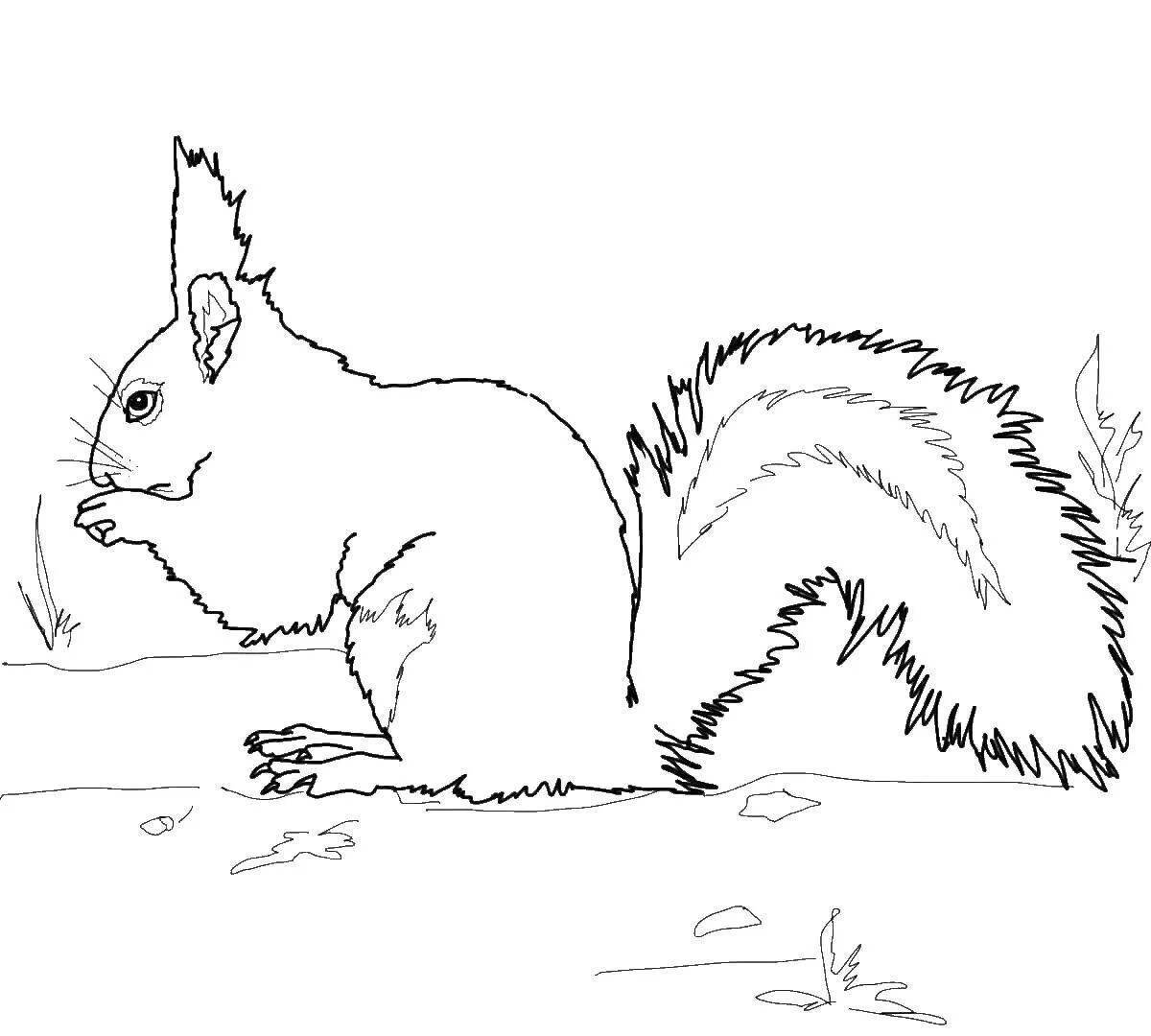 Animated squirrel in the forest