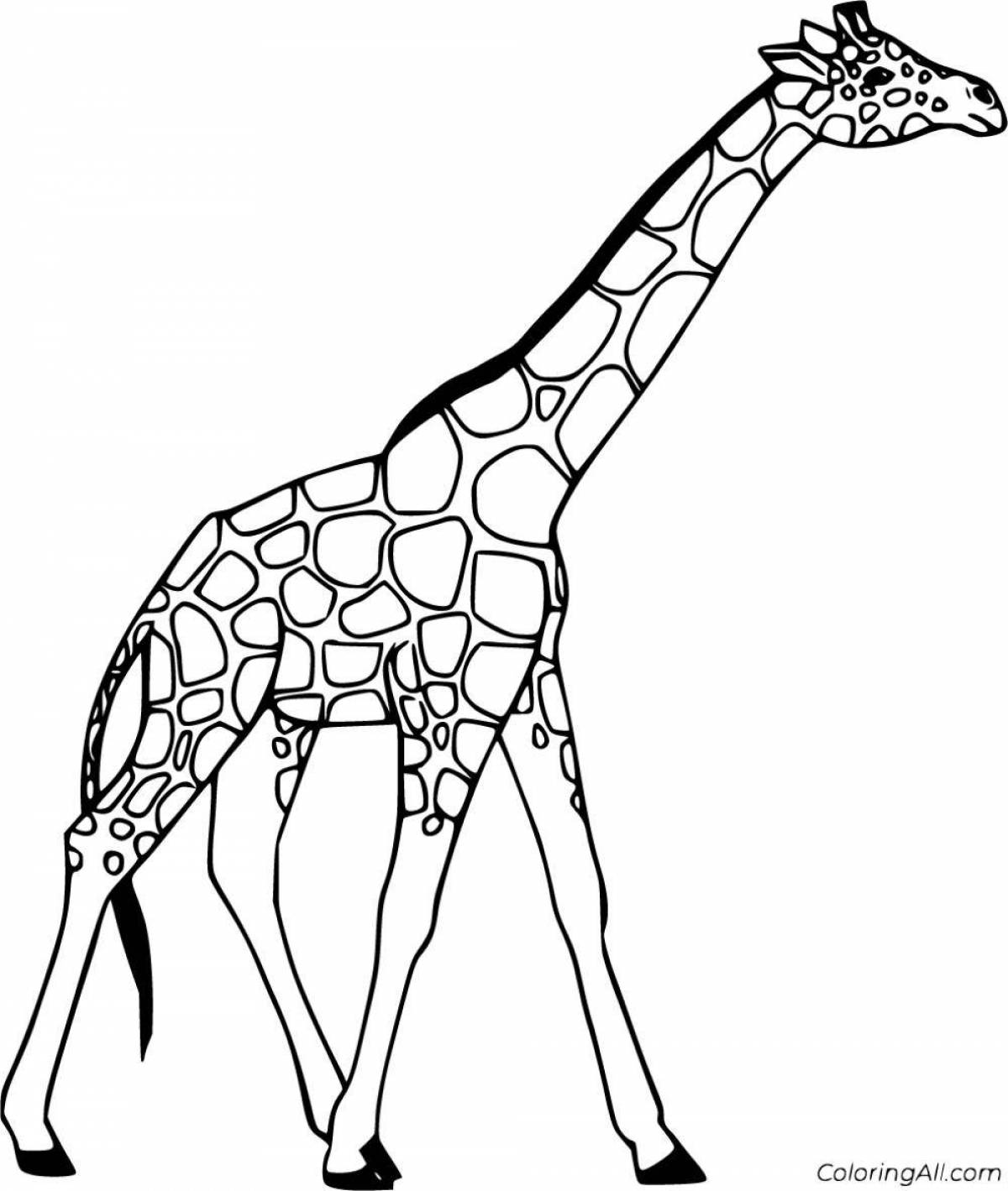 Великолепная раскраска жираф по номерам