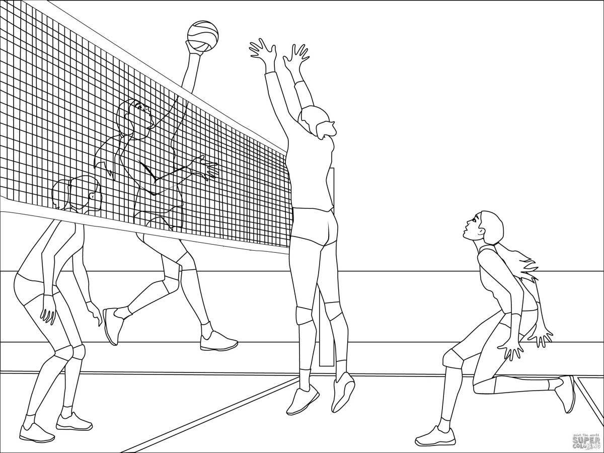 Coloured volleyball coloring book for children