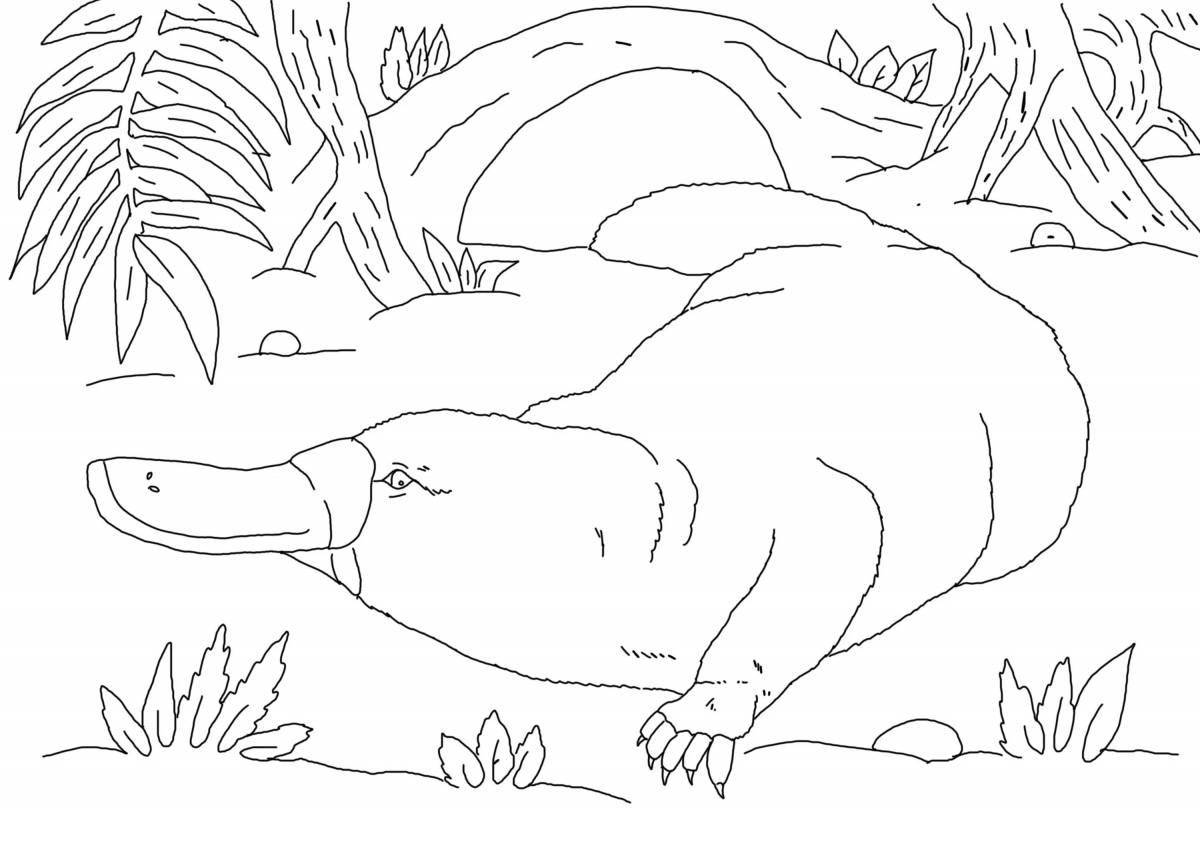 Coloring book playful platypus for children