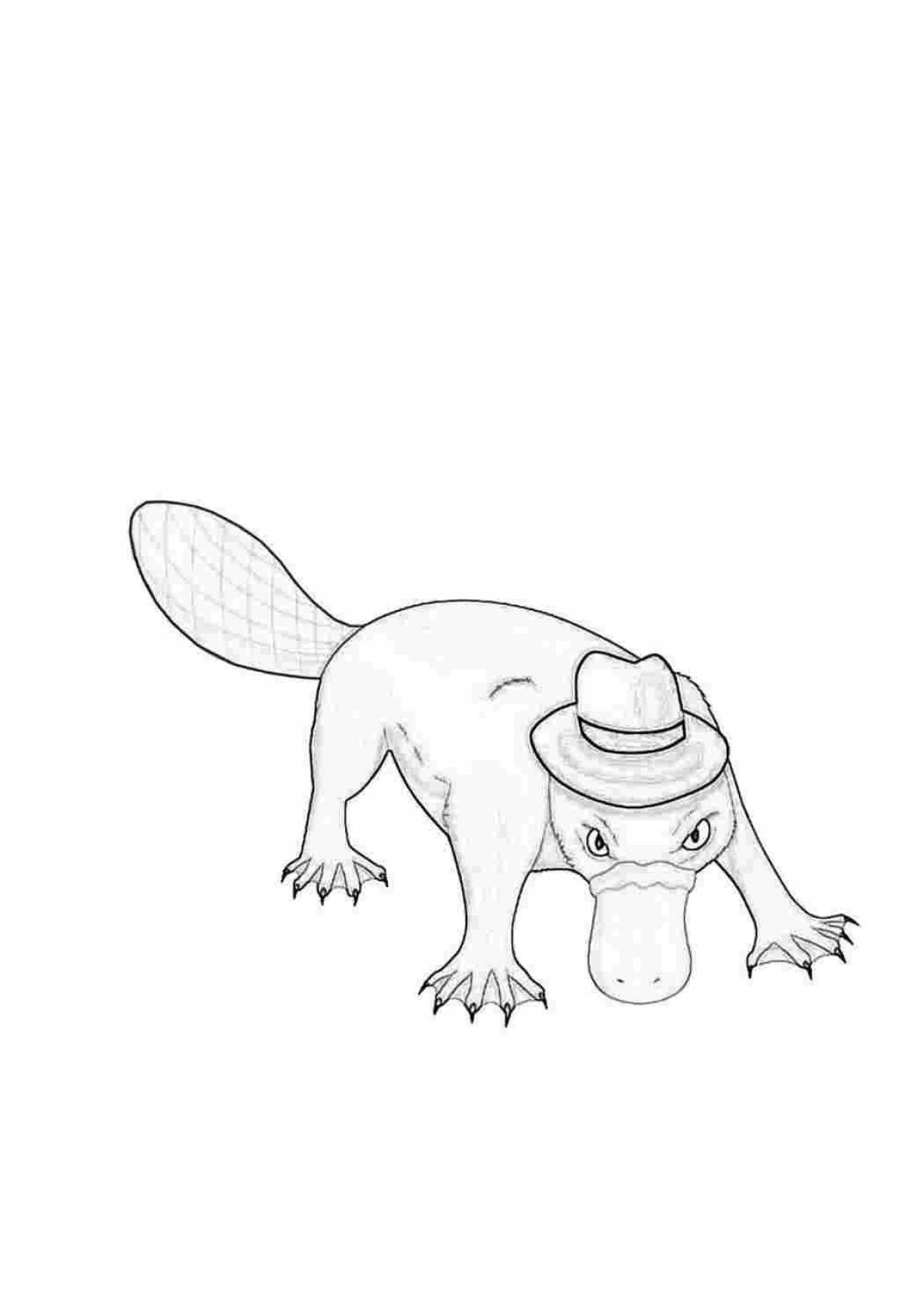 A fun platypus coloring book for kids