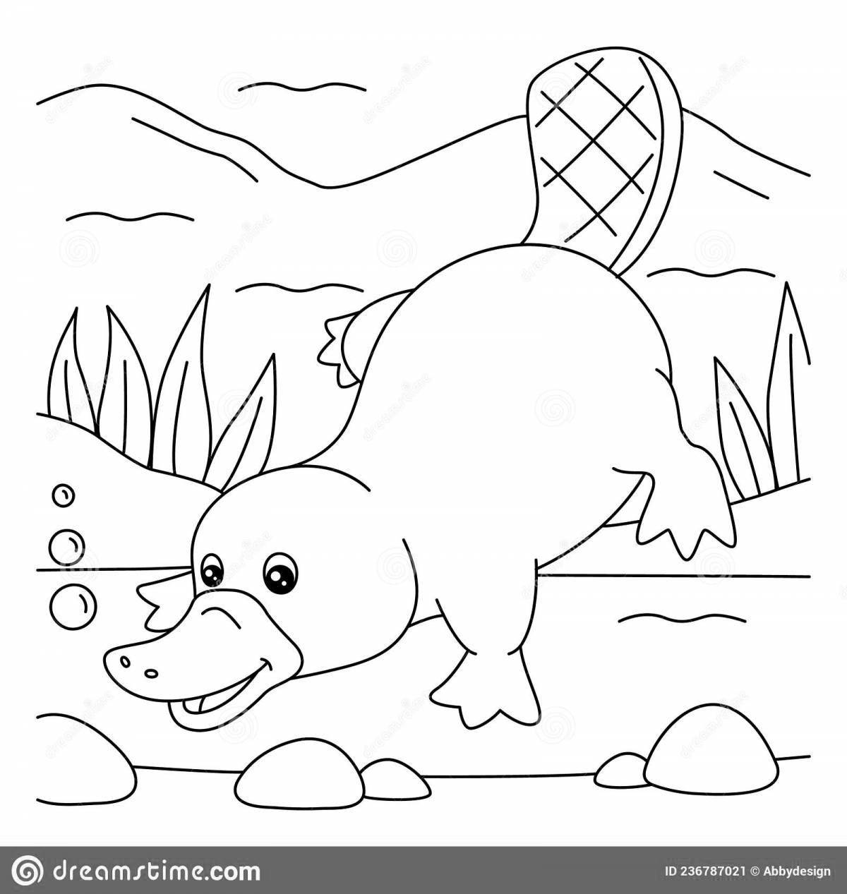 Sweet platypus coloring book for kids