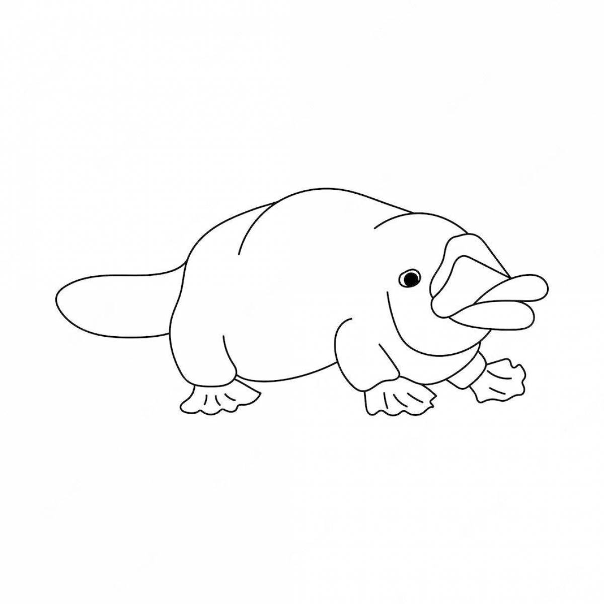 A fun platypus coloring book for kids