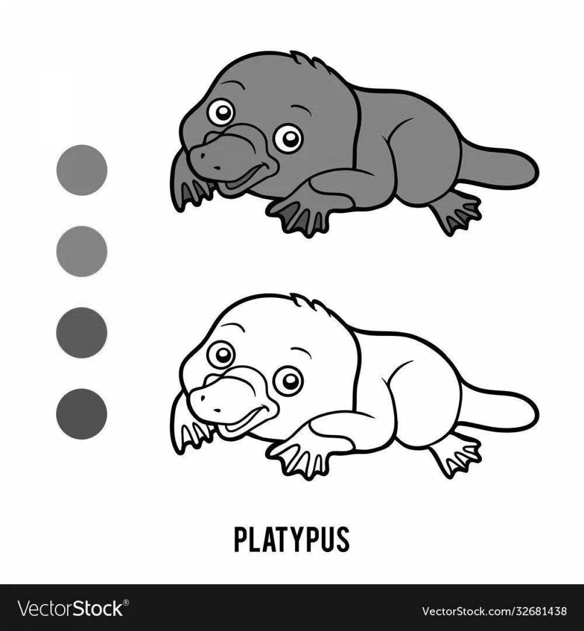 Delightful platypus coloring book for kids
