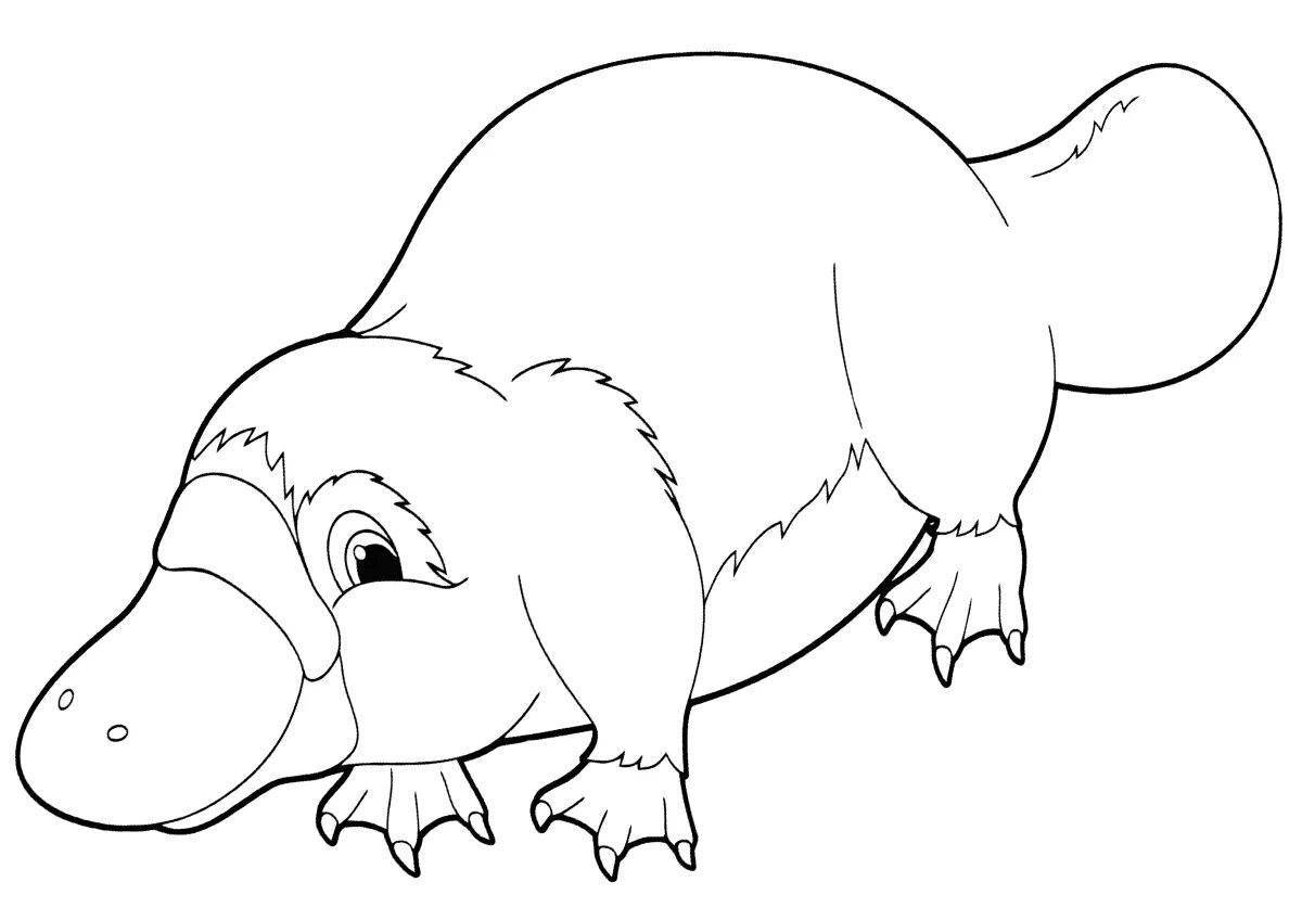Great platypus coloring book for kids