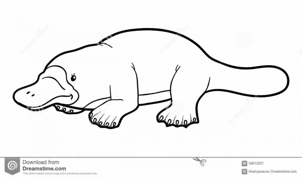 A wonderful platypus coloring book for kids