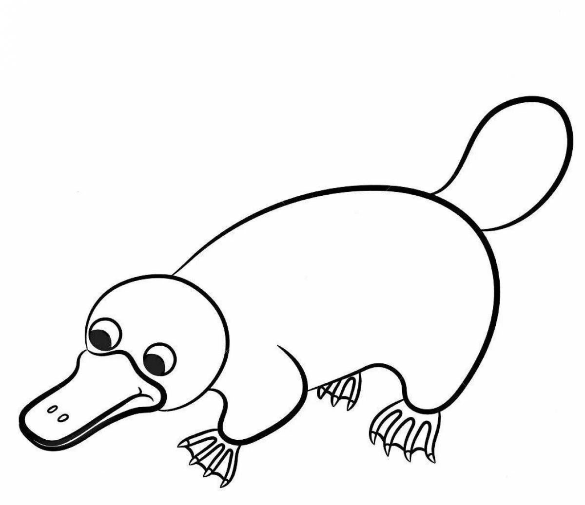 Platypus for kids #1