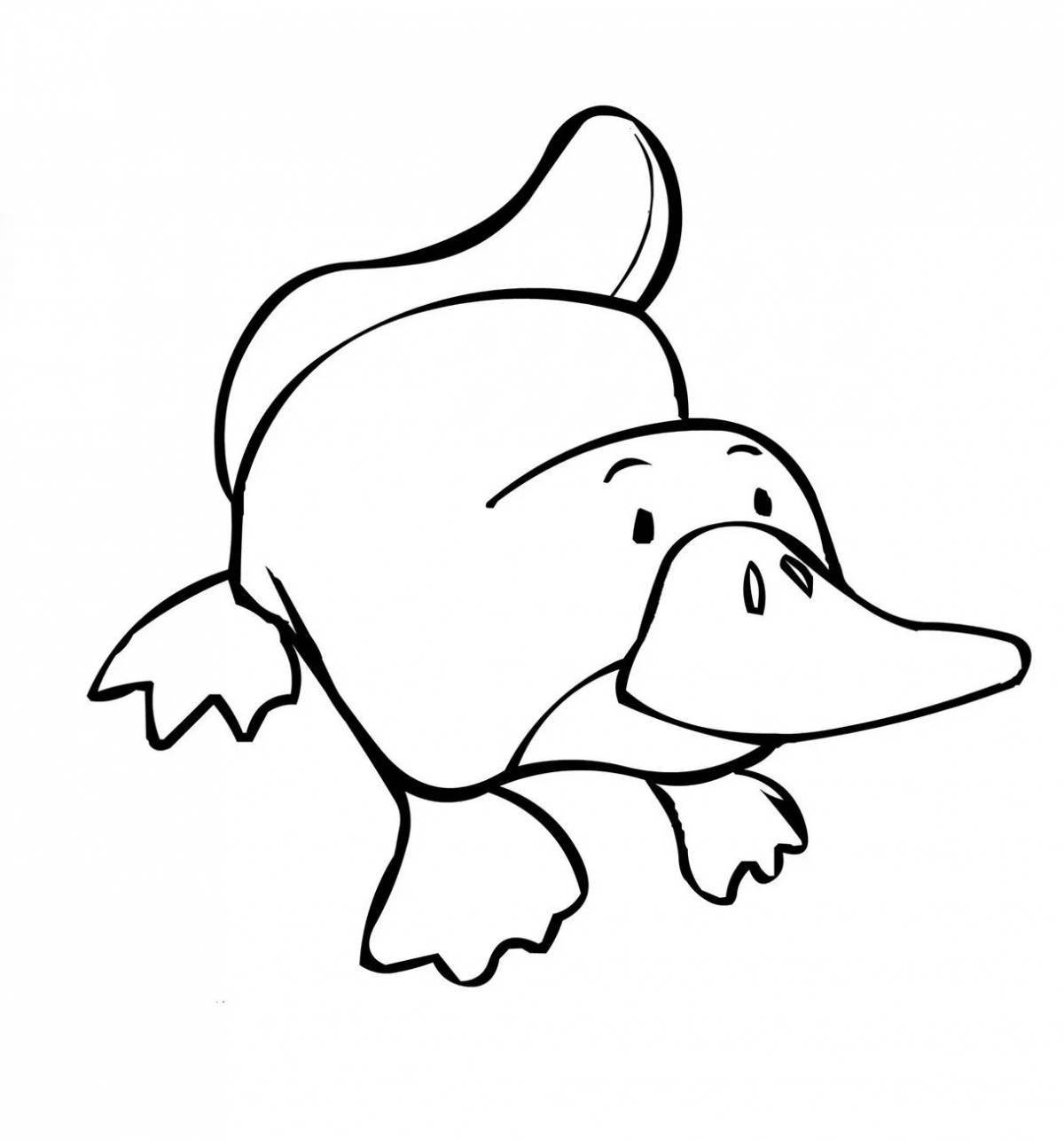 Platypus for kids #5