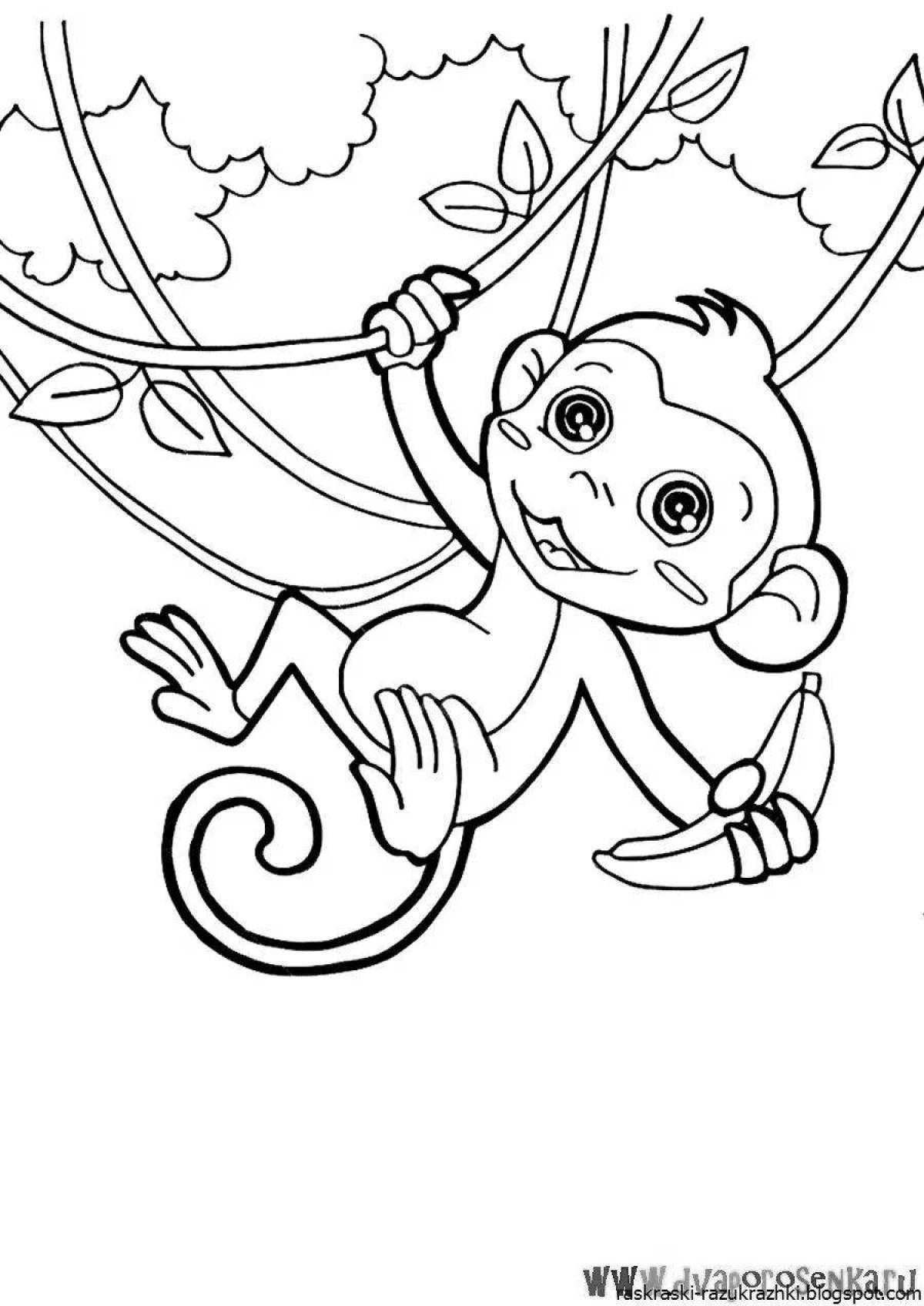 Live coloring monkey