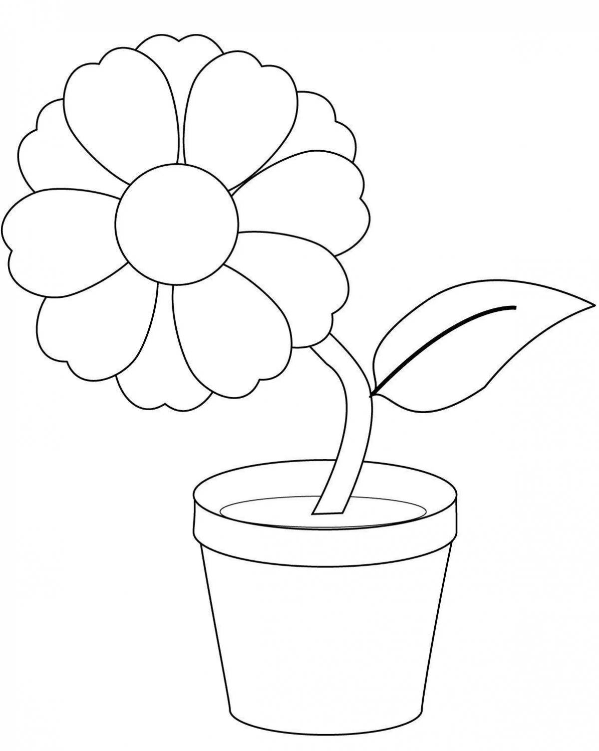 Adorable flower pot coloring book