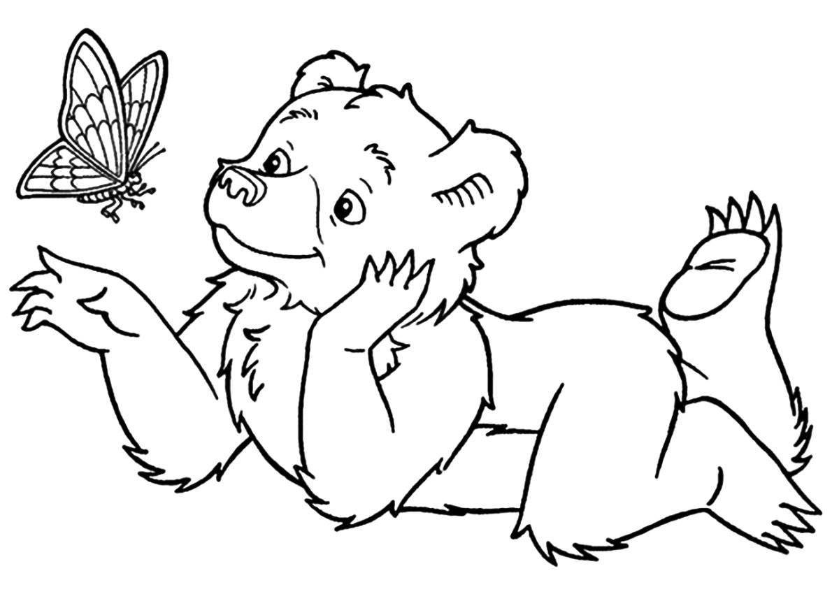 Major coloring fairy bear