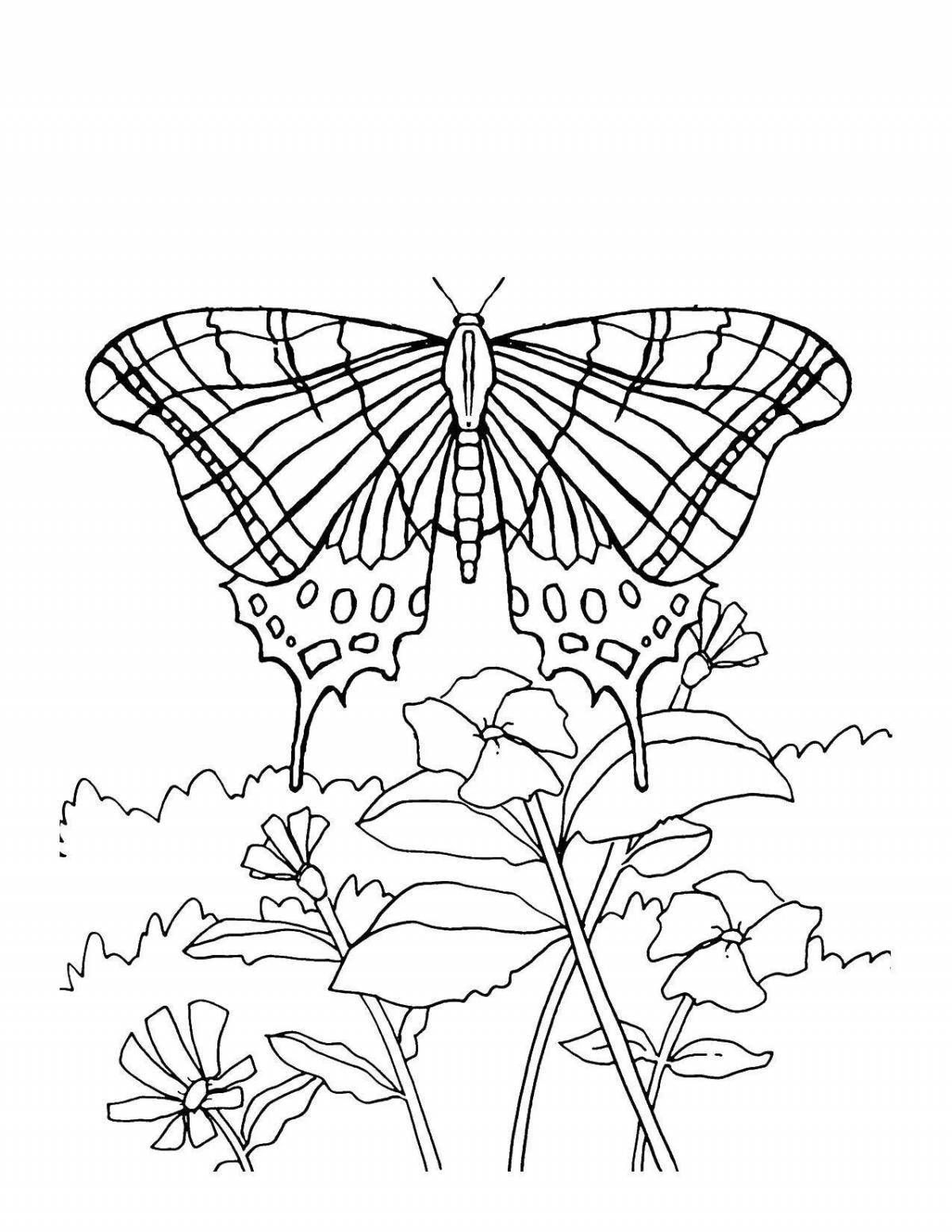 Радостная бабочка с цветком раскраска