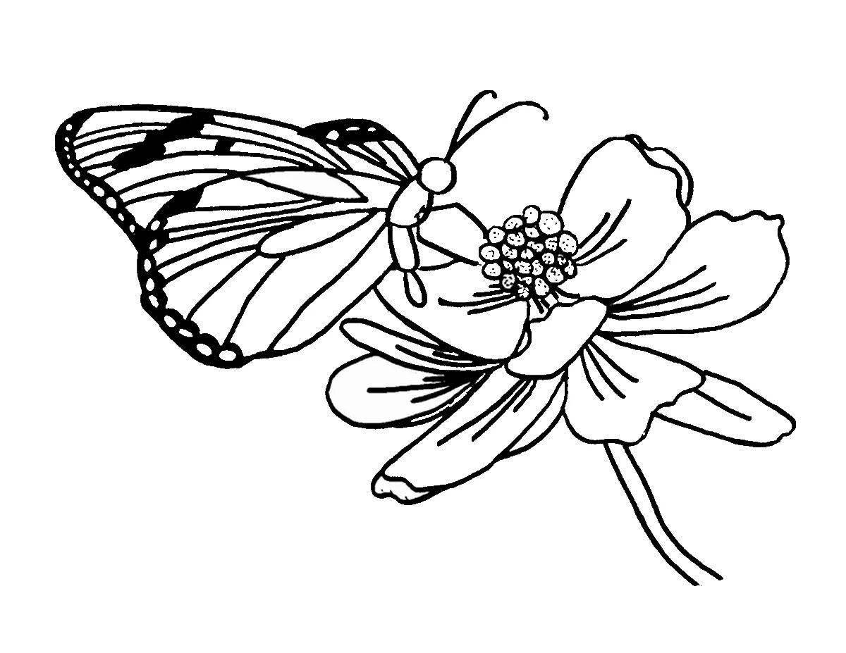 Coloring book gorgeous butterfly with a flower