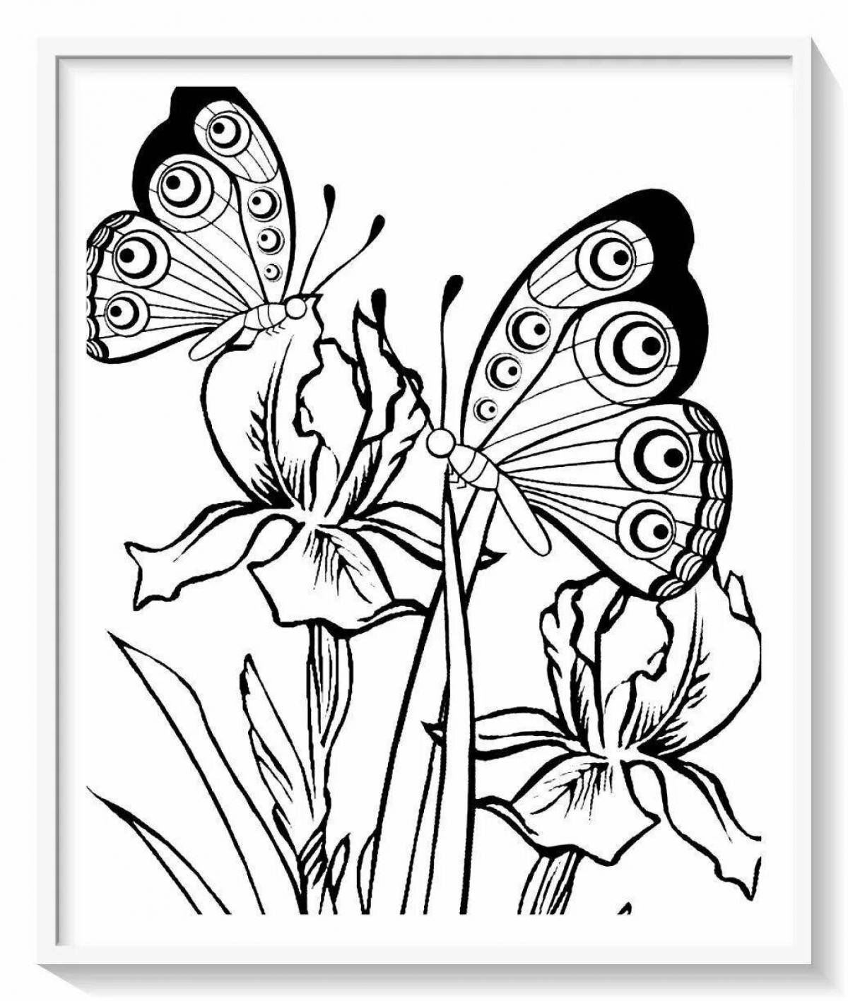 Изысканная бабочка с цветком раскраска