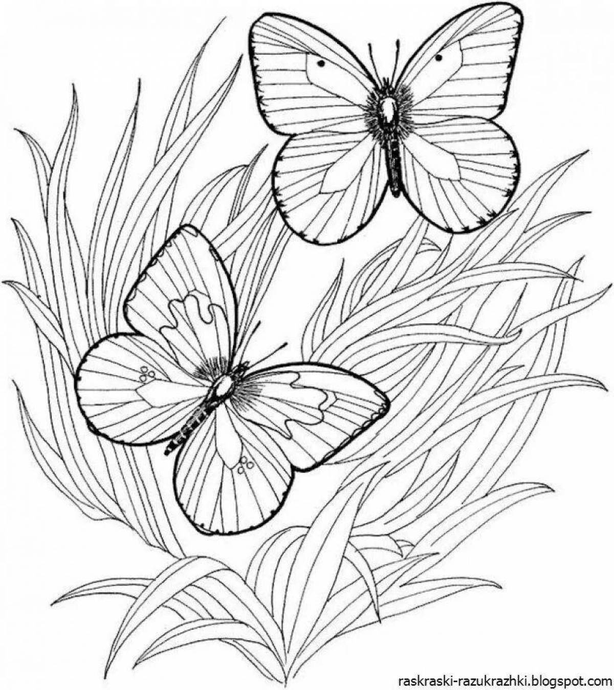 Славная бабочка с цветком раскраска