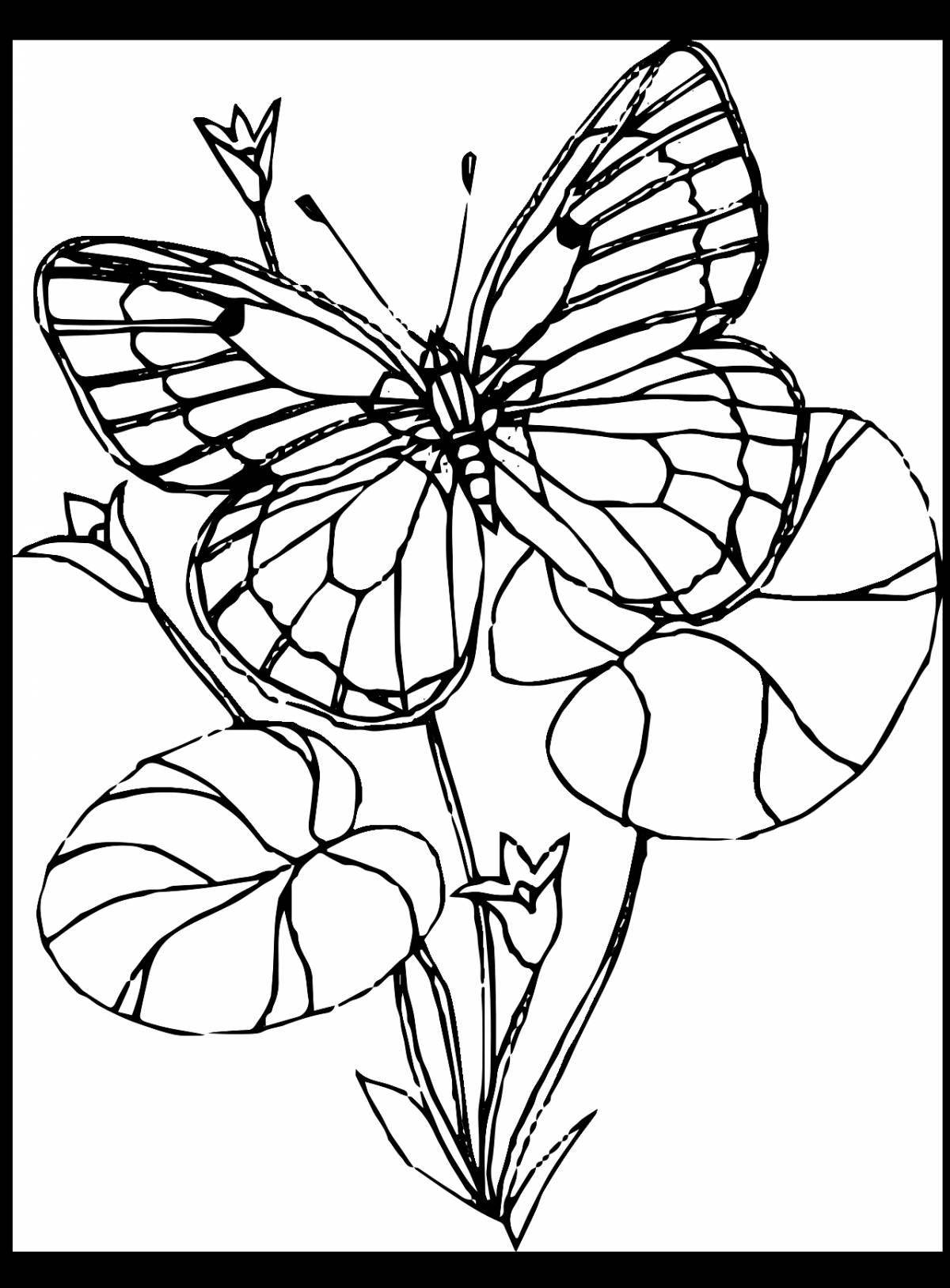 Amazing butterfly with flower coloring book