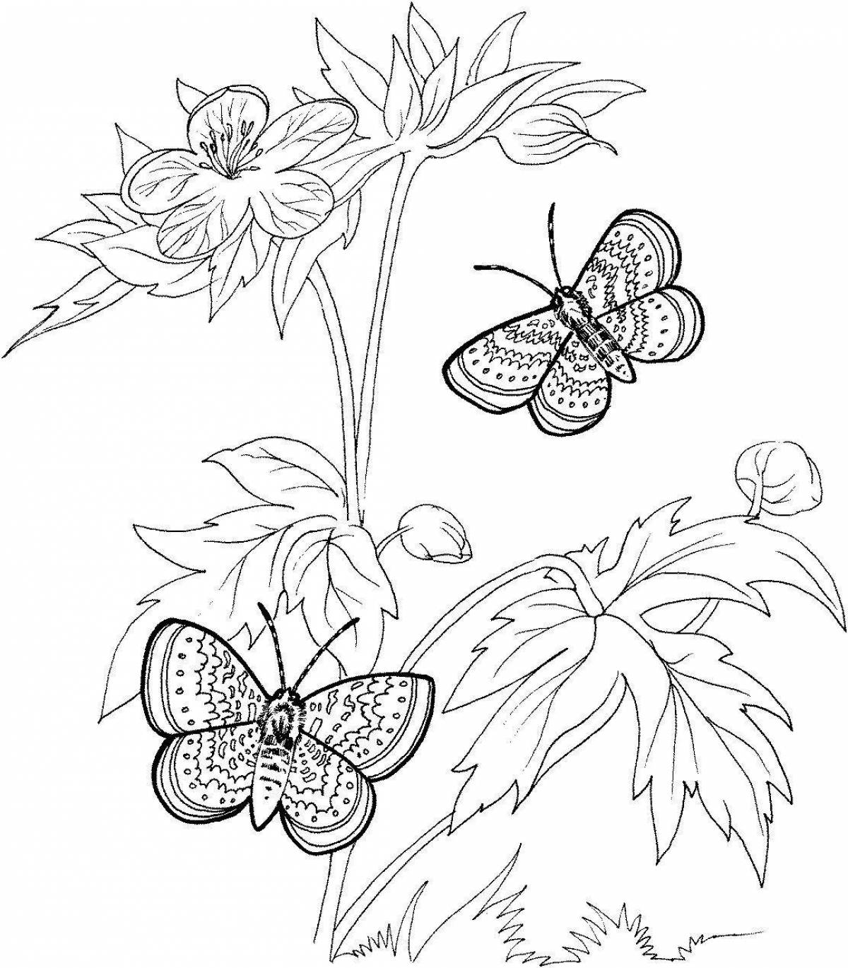 Funny butterfly with flower coloring book