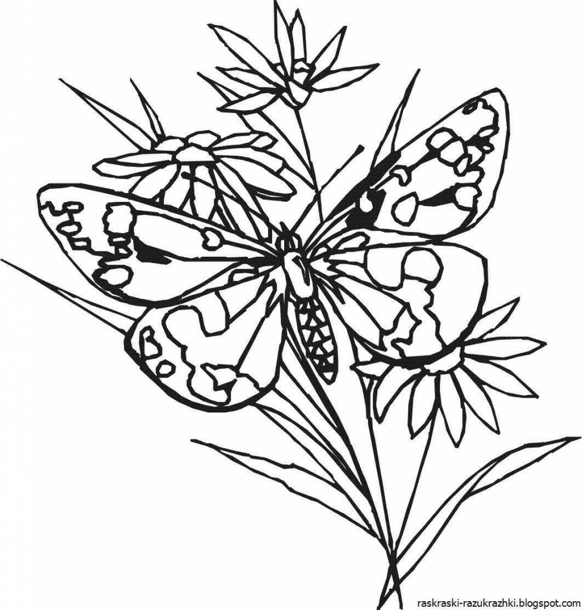Завораживающая бабочка с цветком раскраска