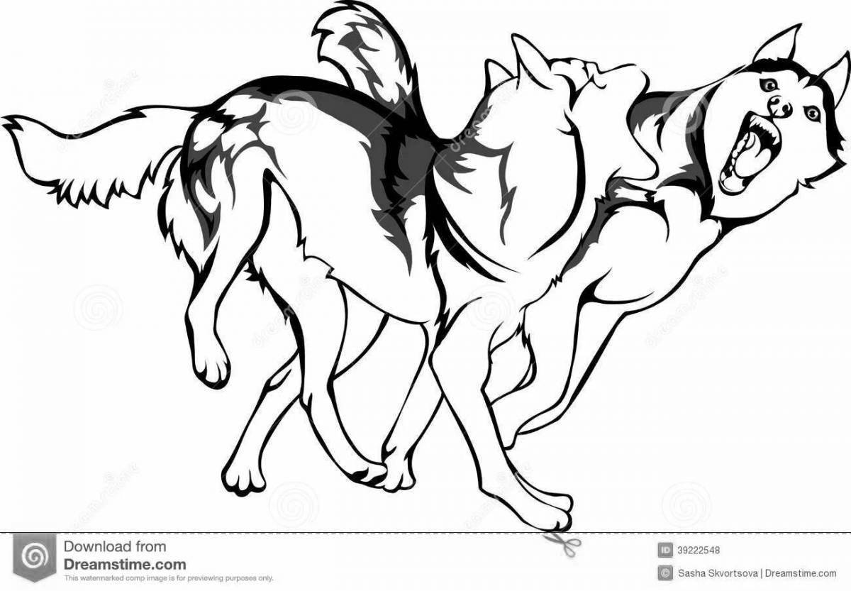 Причудливая раскраска собаки и волка