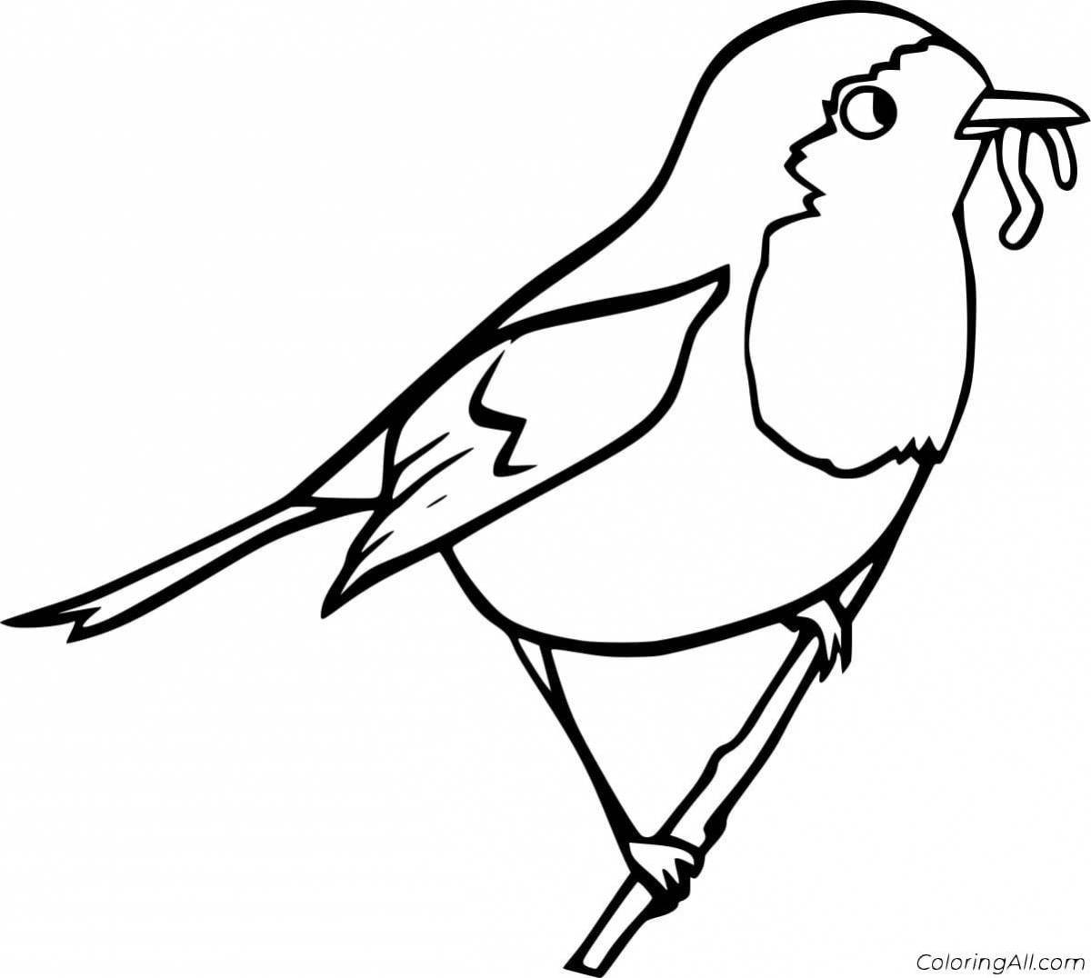 Раскраска Славный воробей на ветке