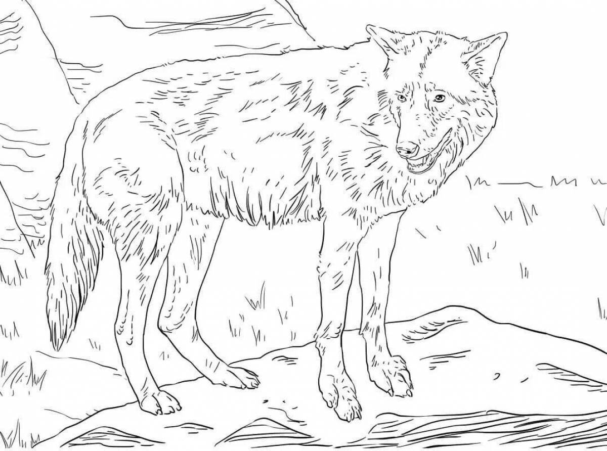 Gorgeous wolf legend coloring book