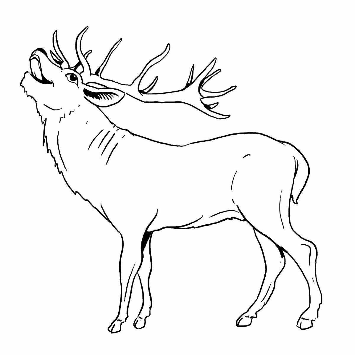 Playful deer coloring page for kids