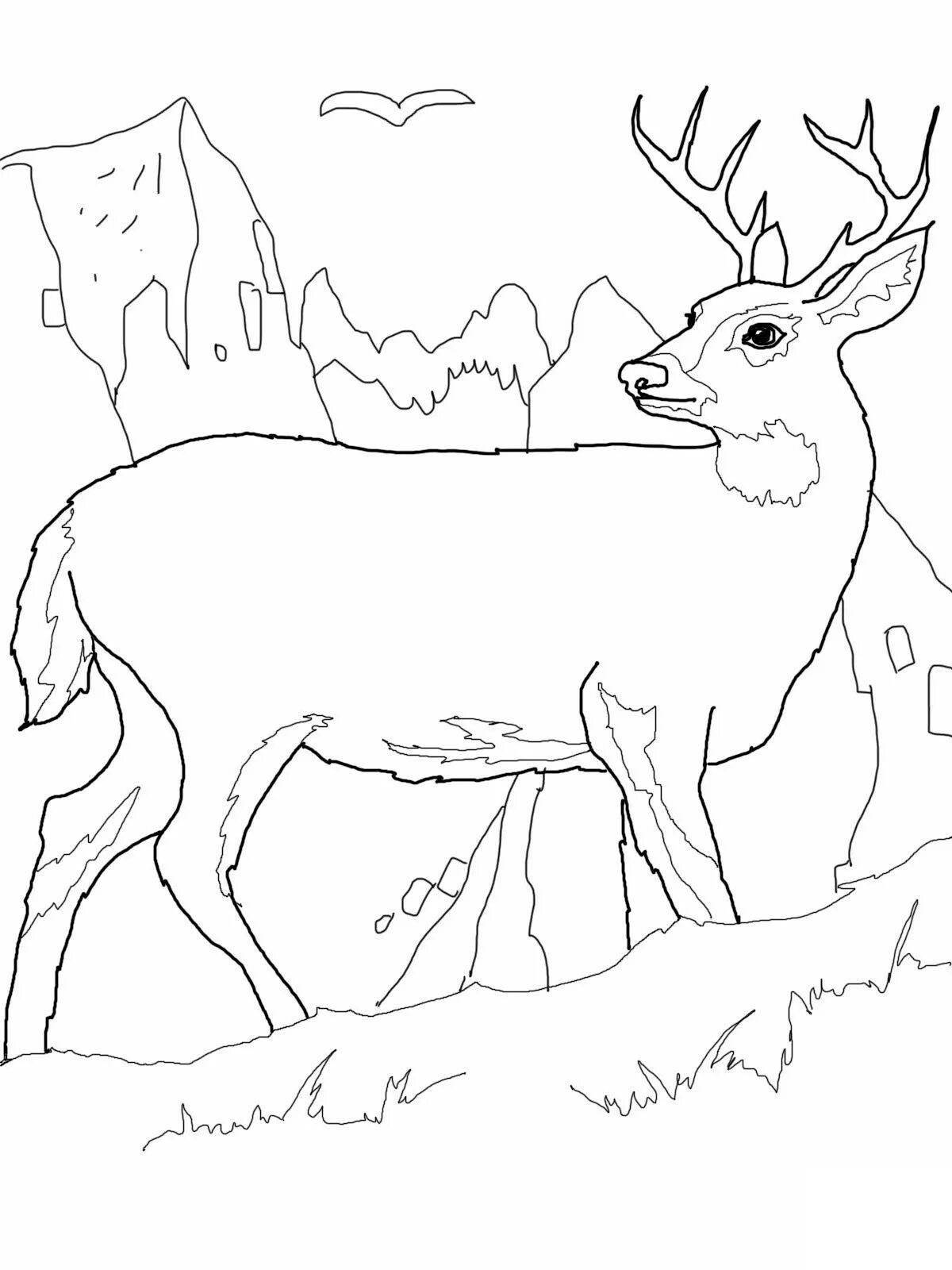 Adorable deer coloring book for kids