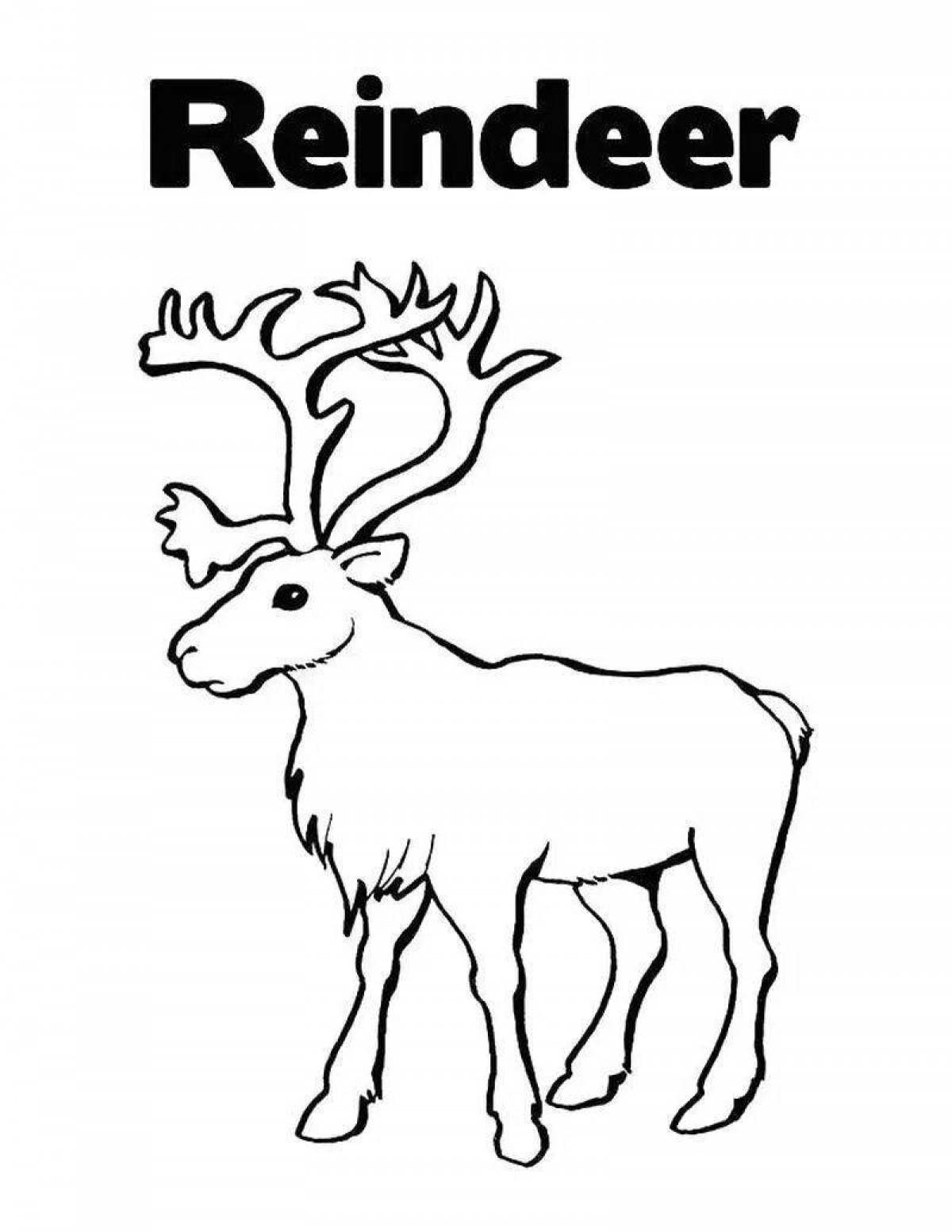 Gorgeous deer coloring book for kids