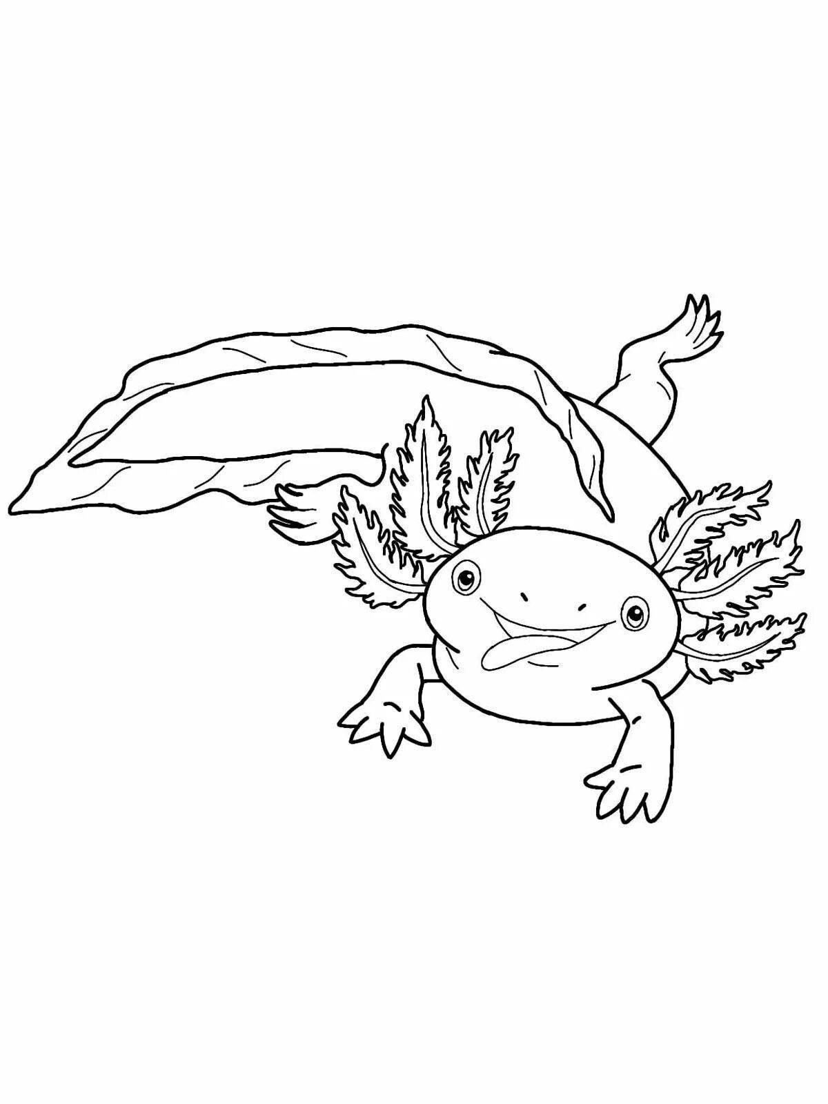 Stylish axolotl minecraft coloring book