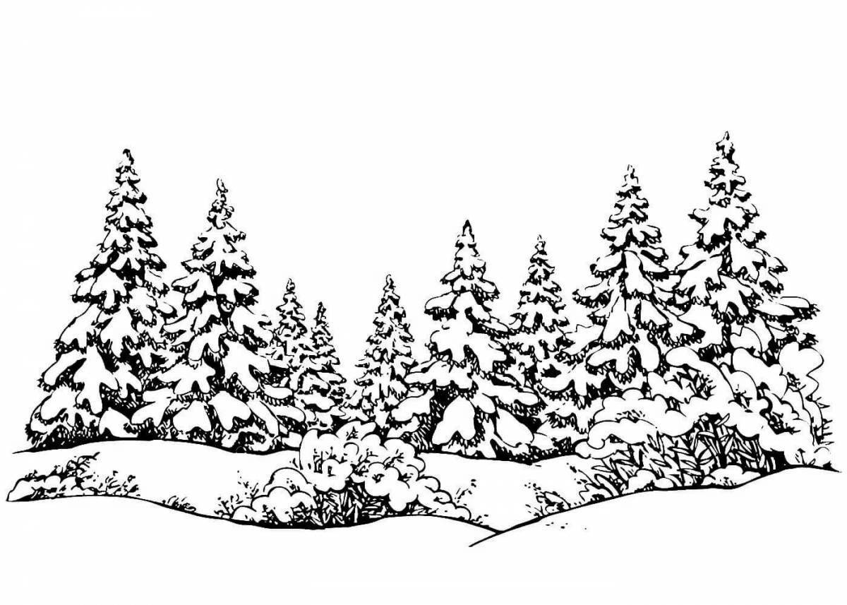 Coloring book exotic winter forest landscape