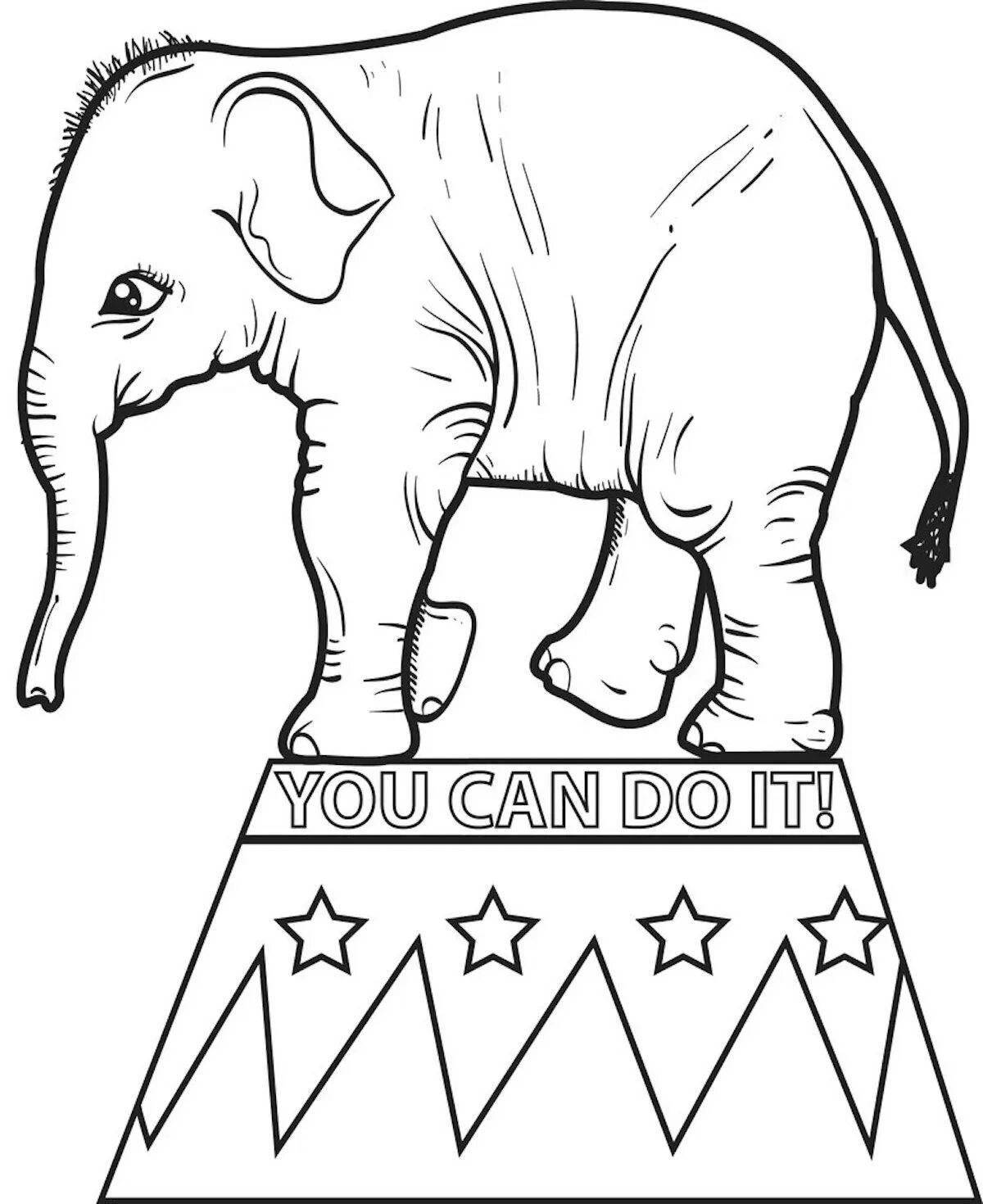 Раскраска величественный цирковой слон