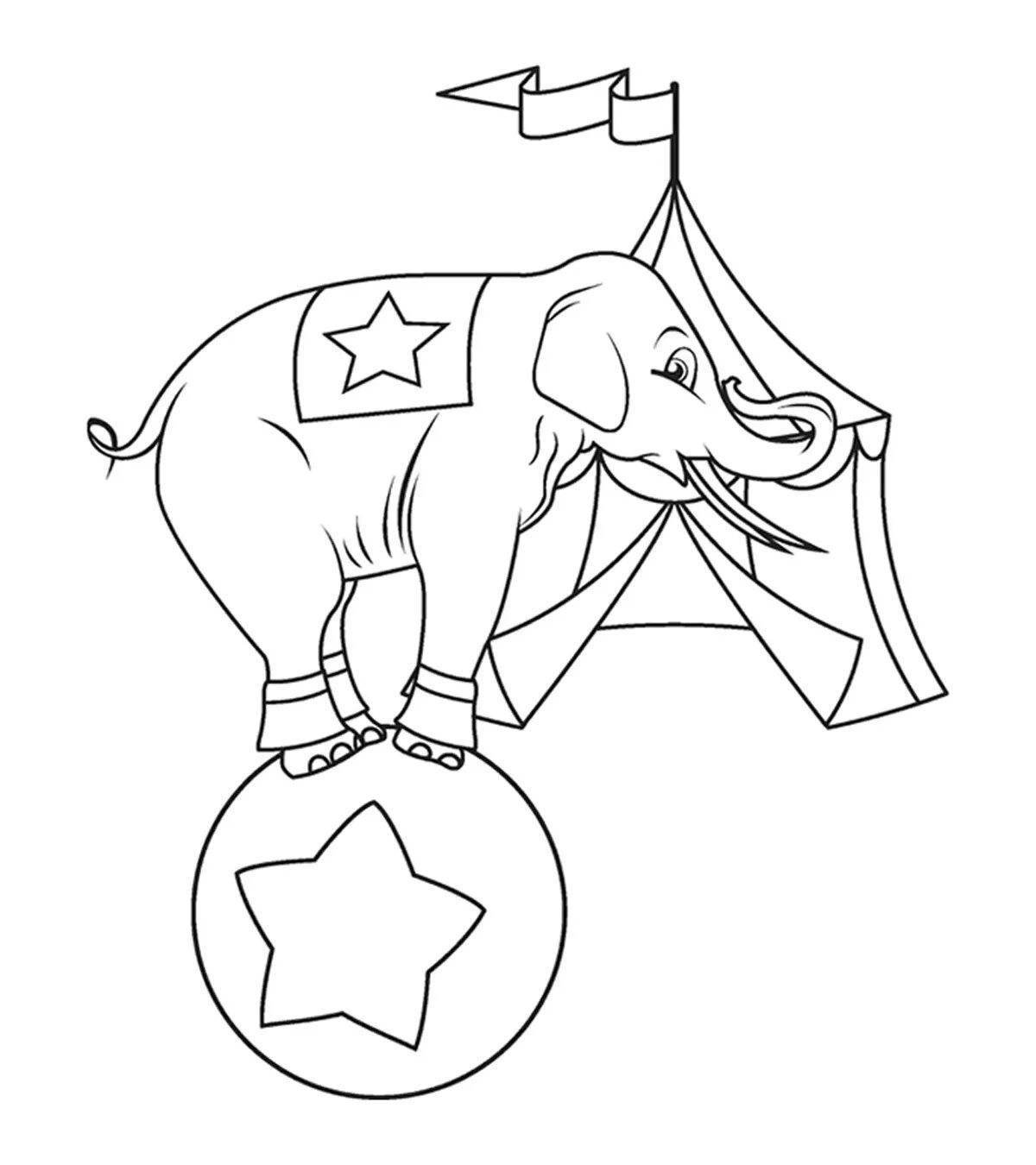Coloring page wonderful circus elephant