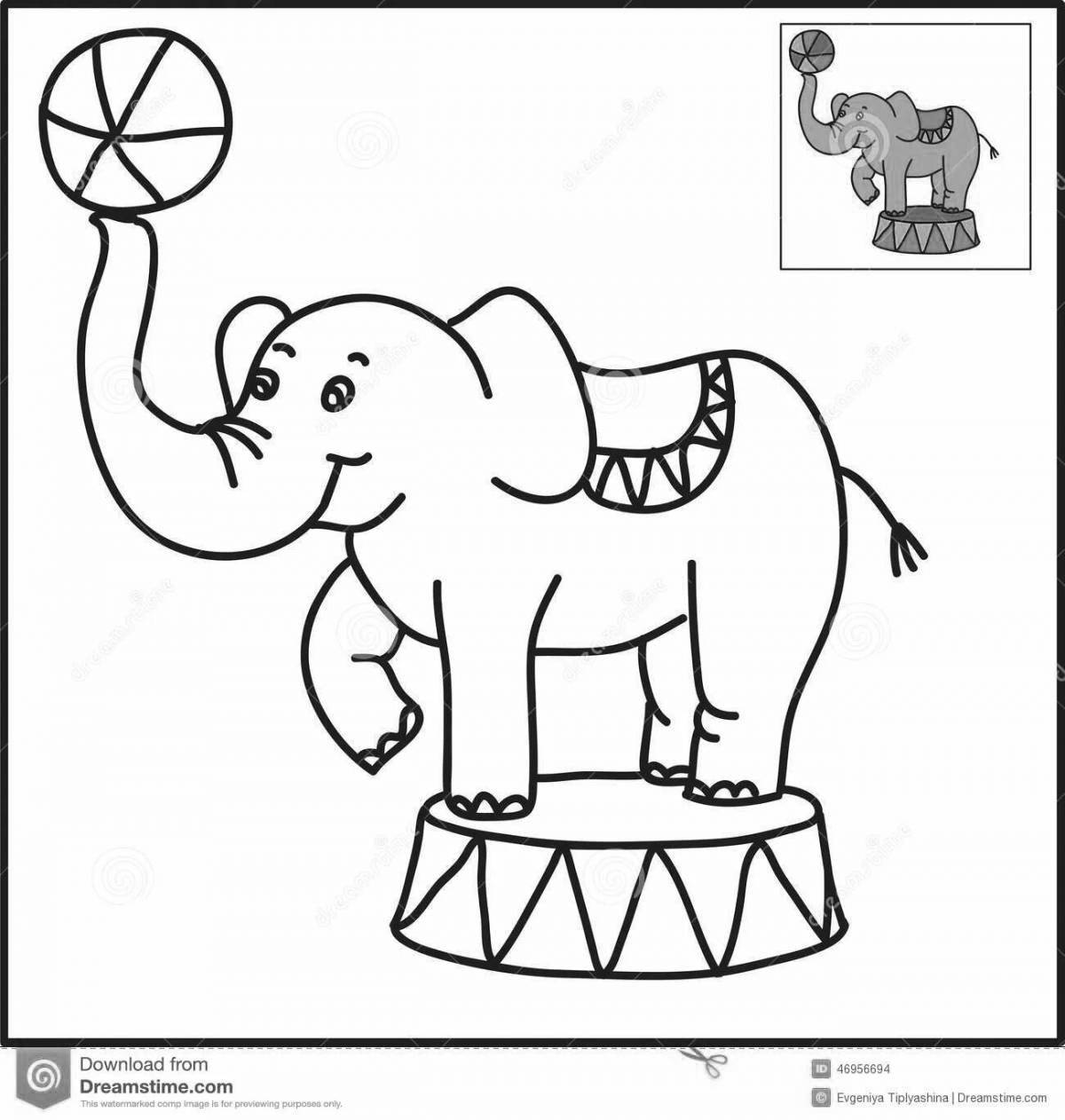 Coloring king circus elephant
