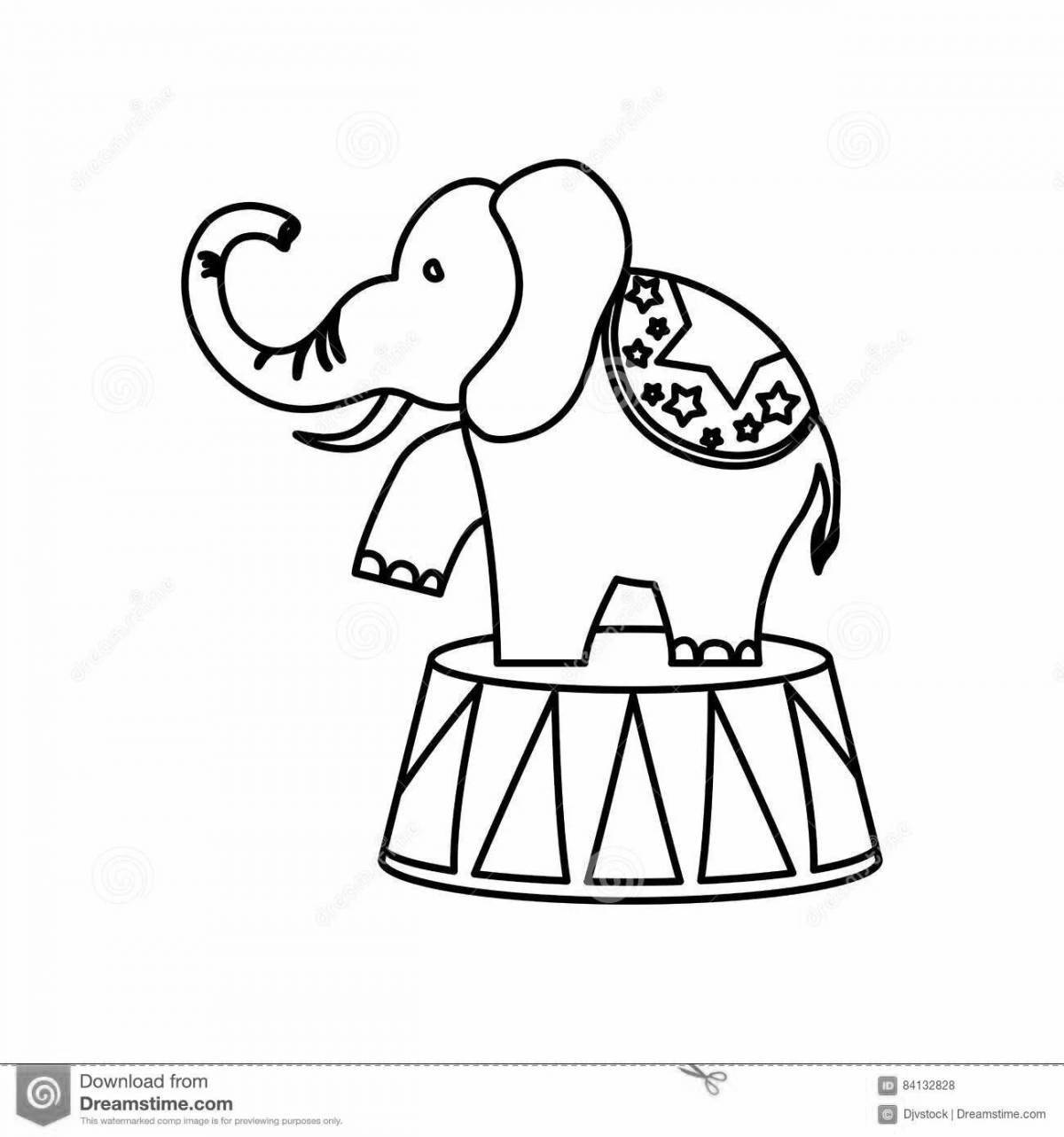 Coloring book shining circus elephant