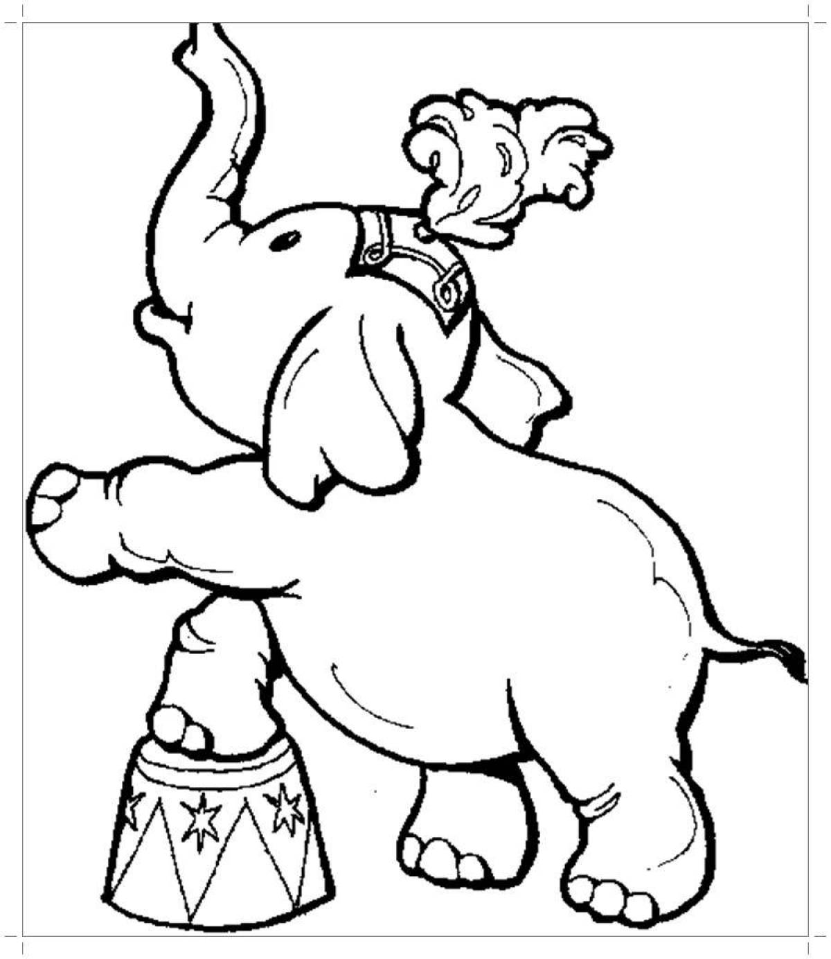 Coloring page spicy circus elephant