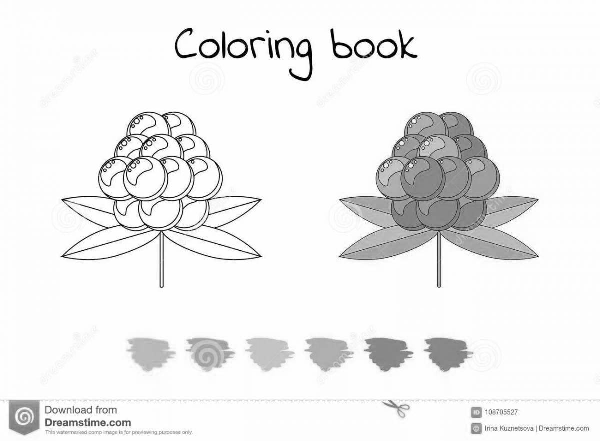 Colorful cloudberry coloring book for kids