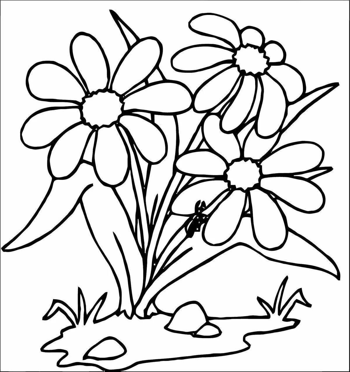 Цветы на полянке раскраска для малышей
