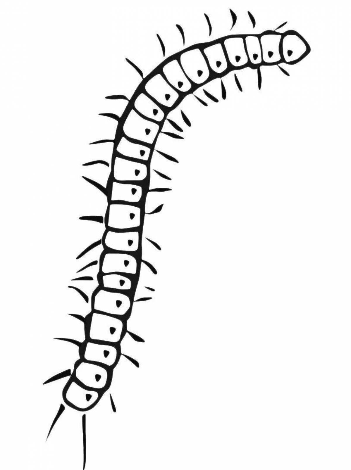 Рисование сороконожка. Сороконожка. Сороконожка раскраска. Сороконожка рисунок. Многоножка раскраска.