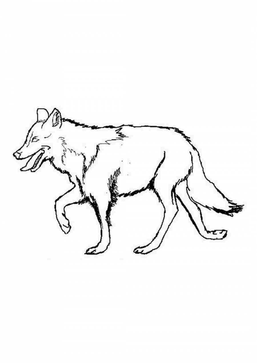 Раскраска Дикие животные волк