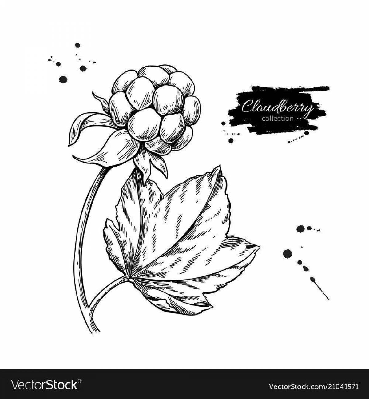 Delightful cloudberry coloring book for teens