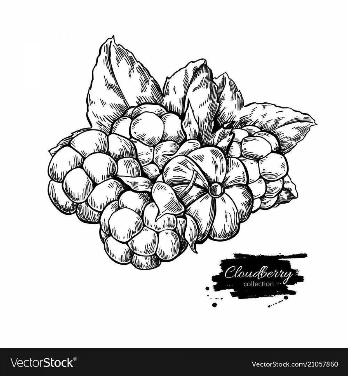 Nice cloudberry coloring book for kids