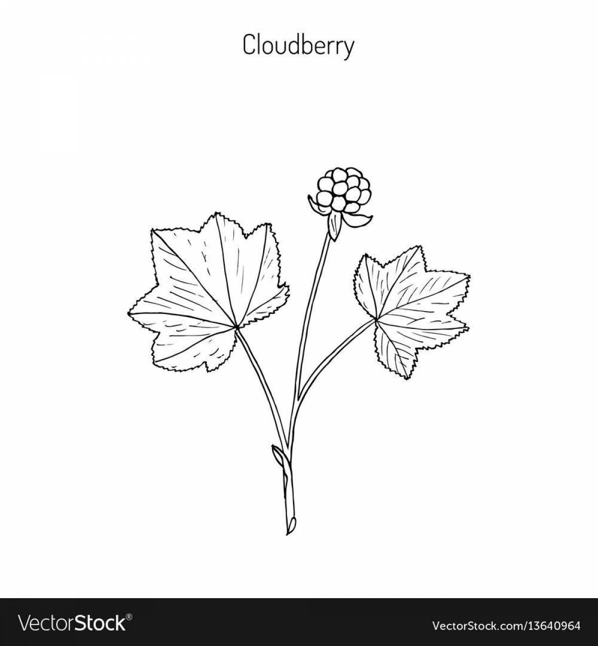 Great cloudberry coloring book for kids