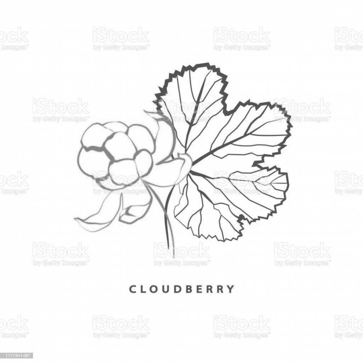 Fabulous cloudberry coloring book for kids