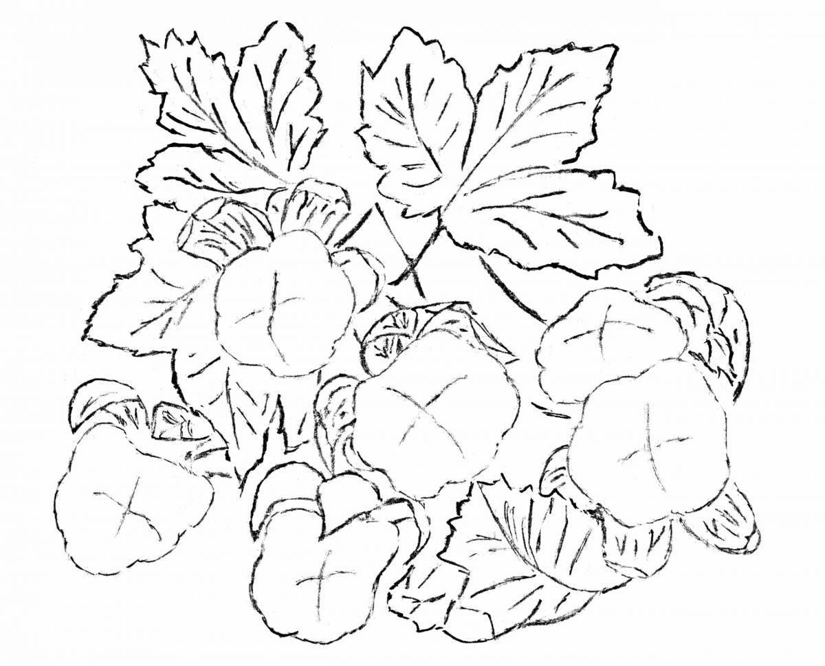 Great cloudberry coloring book for teens