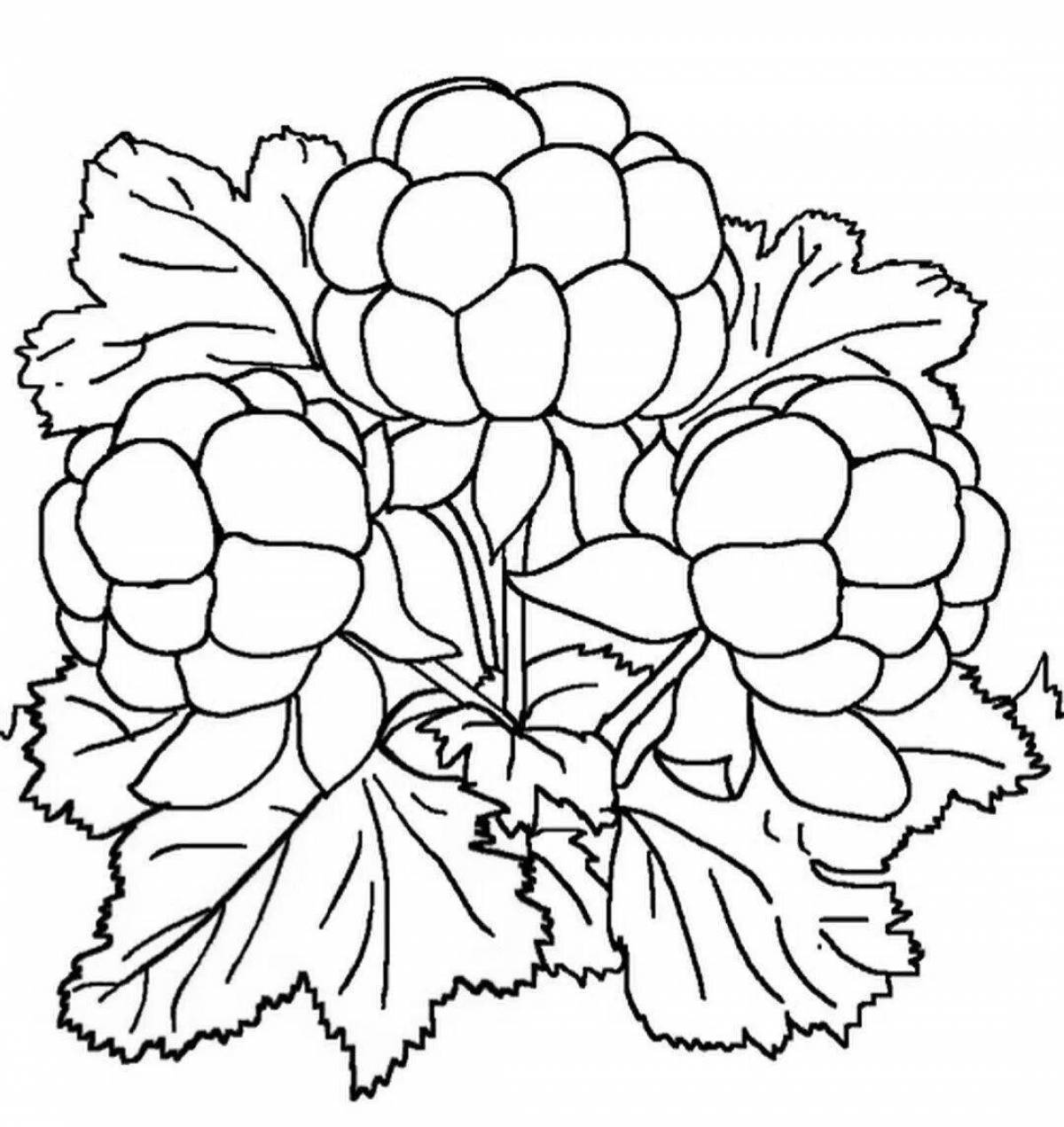 Great cloudberry coloring book for toddlers