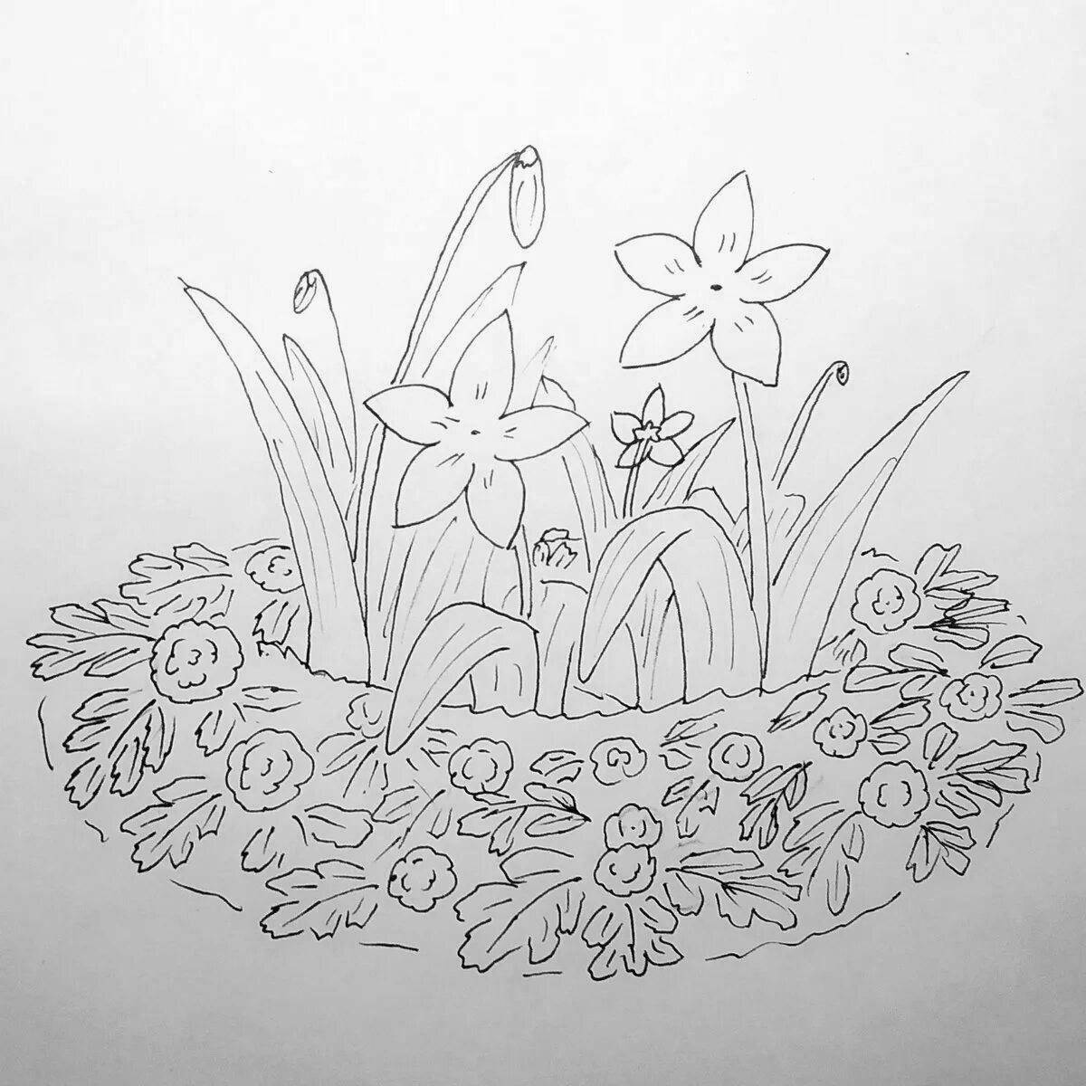 Coloring flower bed